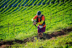 BIB: 
                            <button type="button" onclick="openModal(19160397)" class="btn btn-primary btn-sm float-right btn-popup" data-toggle="modal" data-target=".modal-high-quality">
                        <i class="fas fa-shopping-cart"></i> Add to Cart
                    </button>
                                            <button type="button" onclick="isThisMe(19160397, true)" class="btn btn-success btn-sm float-right btn-popup btn-isme hidden" data-toggle="tooltip" data-placement="bottom" title="นี่คือรูปของคุณใช่ไหม คลิกที่นี่เพื่อเอาเข้าอัลบั้ม">
                        <i class="fas fa-plus"></i> Add to album
                    </button>
                    <button type="button" onclick="isThisMe(19160397, false)" class="btn btn-warning btn-sm float-right btn-popup btn-isnotme hidden">
                        <i class="fas fa-ban"></i> Remove from album
                    </button>